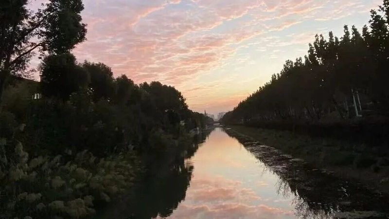 高授权率专利代理机构参数对比